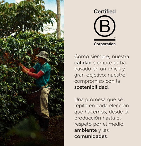 Classico - Café Molido del Tueste, 1 Lata de 250 G - Illy