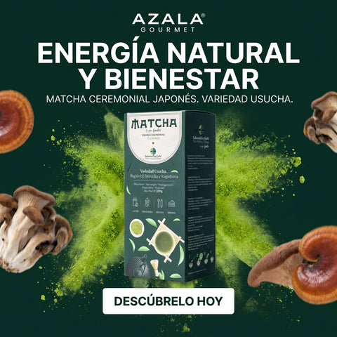 Japanisches Grüntee-Matcha-Pulver - 200 g - Guilis