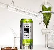 Dr. Mush - Pack de 6 - Sparkling Guaraná