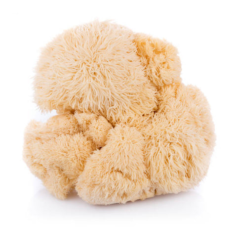 Dr. Mush - Pack de 6 - Sparkling Guaraná