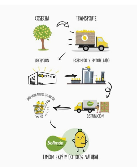 Zumo de Limón Exprimido 100% Natural | 2 x1 litro - Solimon